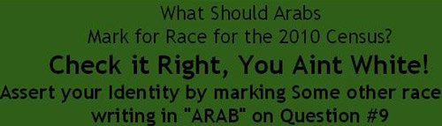 arabcensusheader