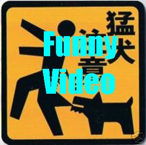 funnyvideo