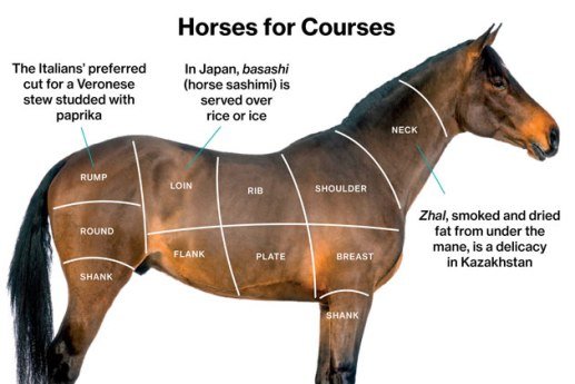 horsemeat